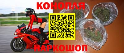 амф Гусев
